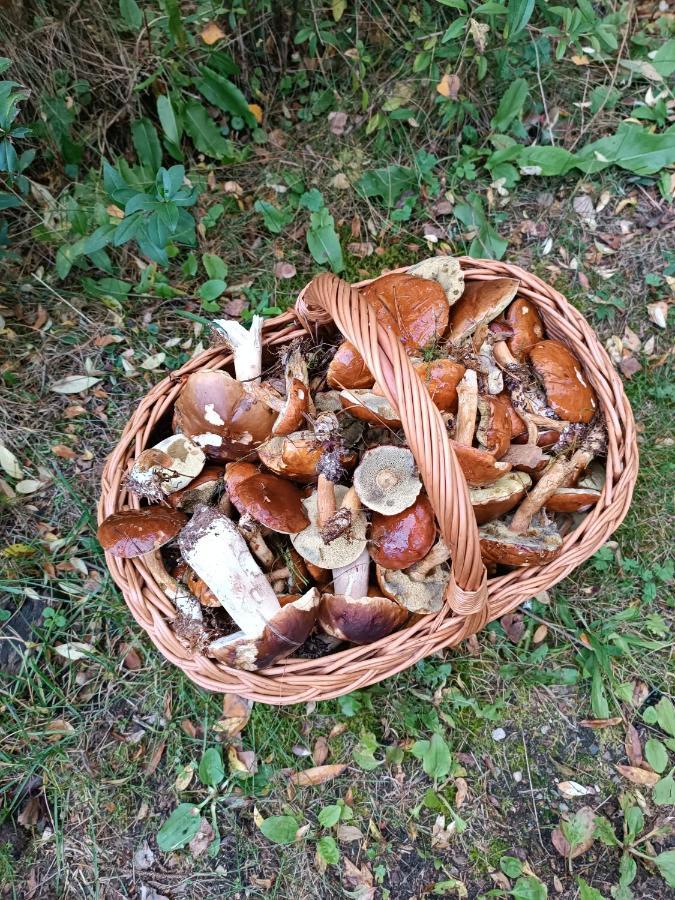 Rykowisko - Domki Caloroczne Nad Jeziorem I Rzeka Szczecinek Esterno foto