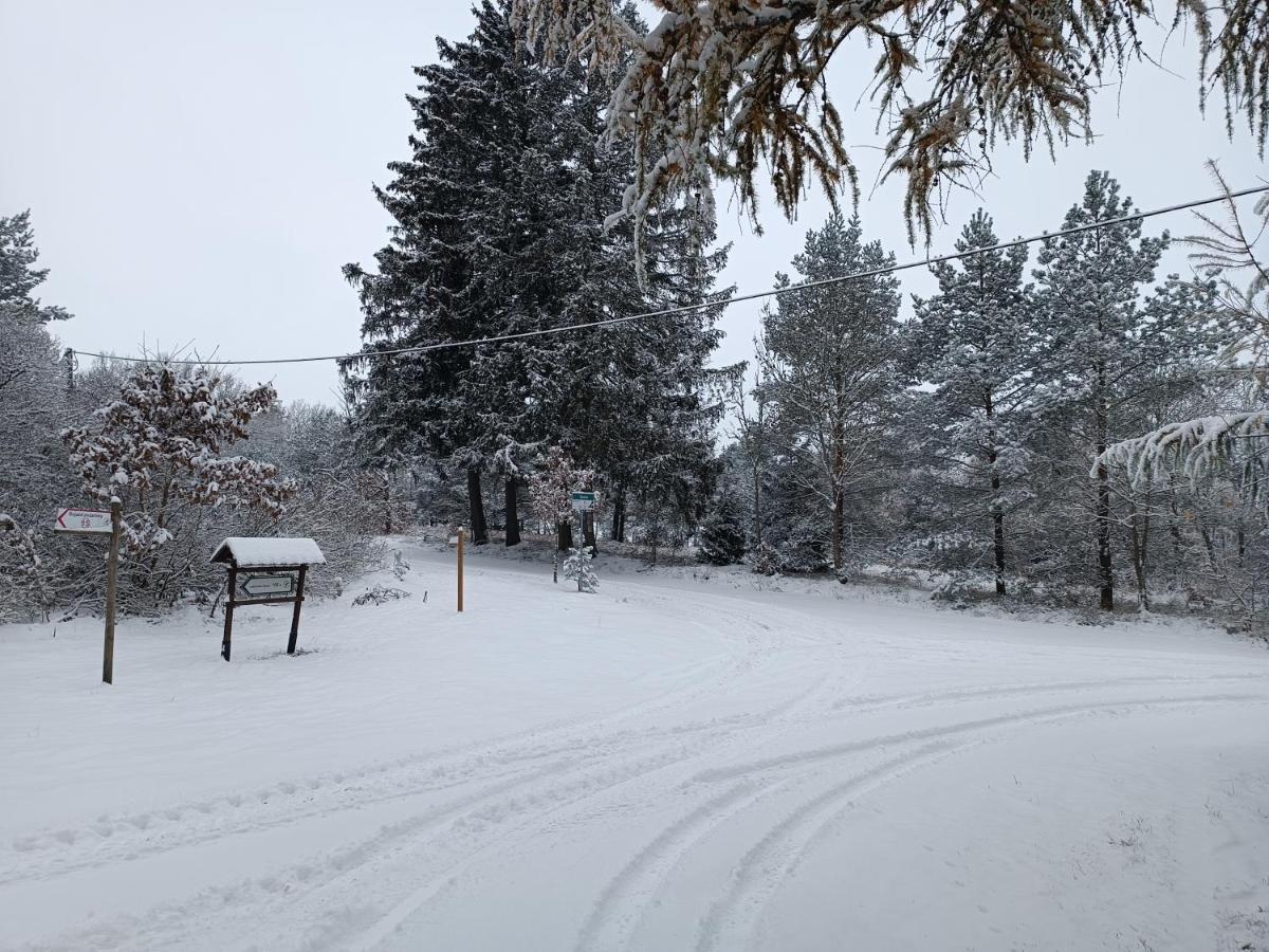 Rykowisko - Domki Caloroczne Nad Jeziorem I Rzeka Szczecinek Esterno foto
